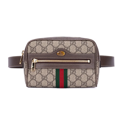 Gucci ophidia brown supreme - ophidia,